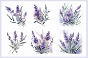 Watercolor Lavender clipart., a Decorative Illustration by Irena Matiash shop (Thumbnail 3 of 5)