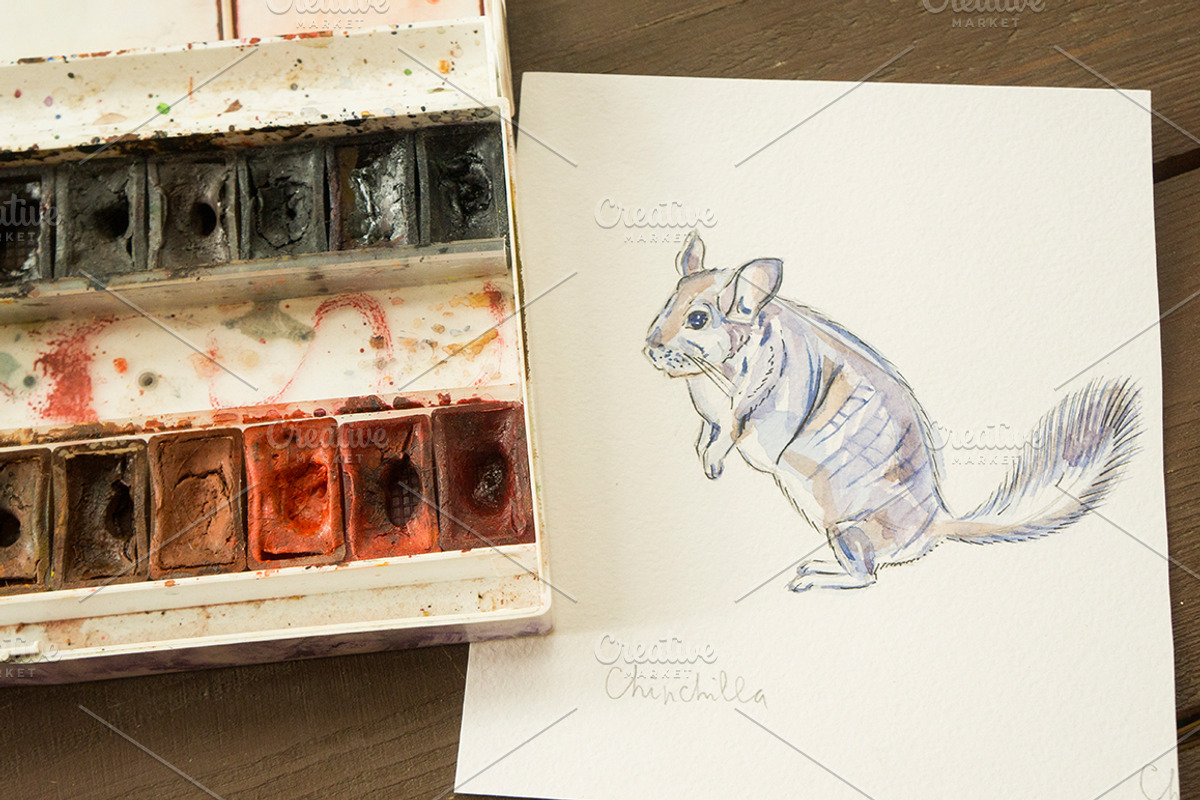 Watercolor vector domestic animals, an Animal Illustration by miminoshka (Photo 8 of 8)