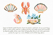 Seashell Illustration Clipart Set, an Illustration by Libby Wishes (Thumbnail 7 of 8)