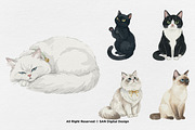 15 Bundle Watercolor Lazy Cats Kiten, an Animal Illustration by Morspective (Thumbnail 7 of 8)