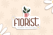 Slapstick - Ligature Fancy Font, a Sans Serif Font by Hamz Studio (Thumbnail 2 of 16)