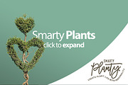 Smarty Planty - Plant life creator, a Product Mockup by envirographic (Thumbnail 10 of 24)
