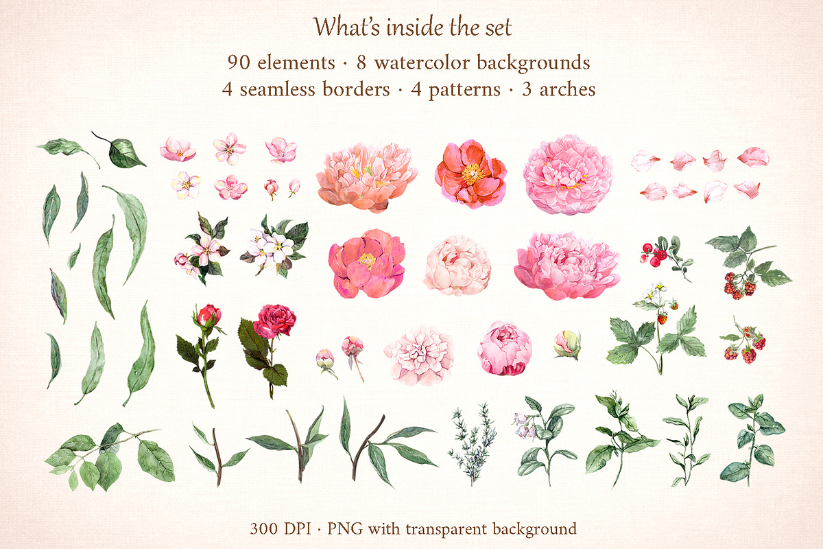 Blush Garden Peony Watercolor Set, a Seasonal Illustration by Where summer is (Photo 2 of 12)
