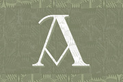 Mekicki, a Serif Font by Brendan Ciecko (Thumbnail 4 of 5)