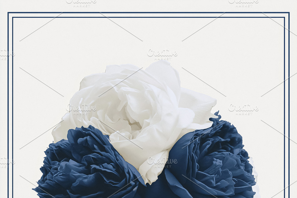 Floral bouquet featuring white and navy blue blossoms, arranged, an Illustration by Studio ANNA