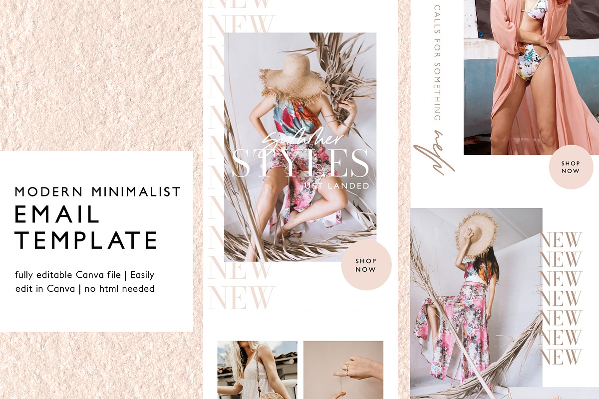 Neutral Blush Fashion Email Template, an Email Template by KikiBunnyCreative (Photo 1 of 7)