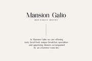 Consumer Type - elegant font family, a Serif Font by VP Fonts (Thumbnail 7 of 18)