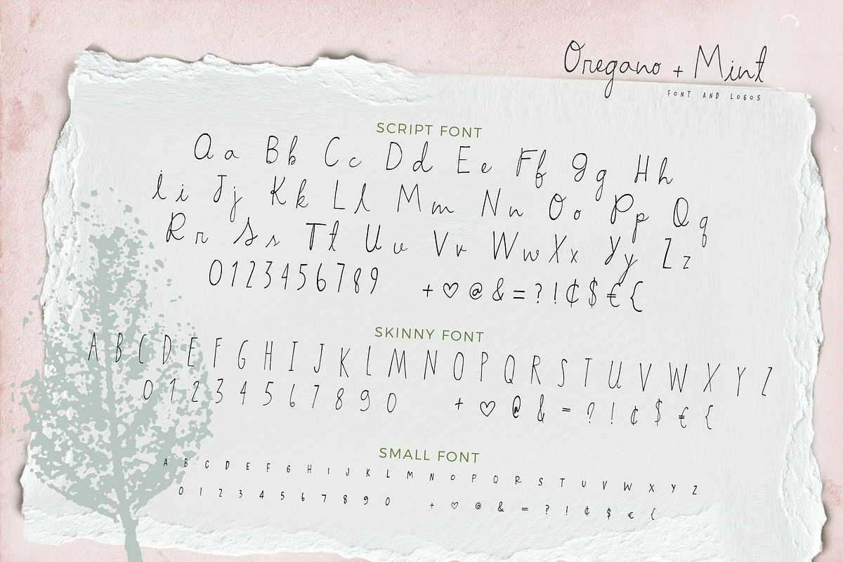 Oregano and Mint Font and Logos preview 8