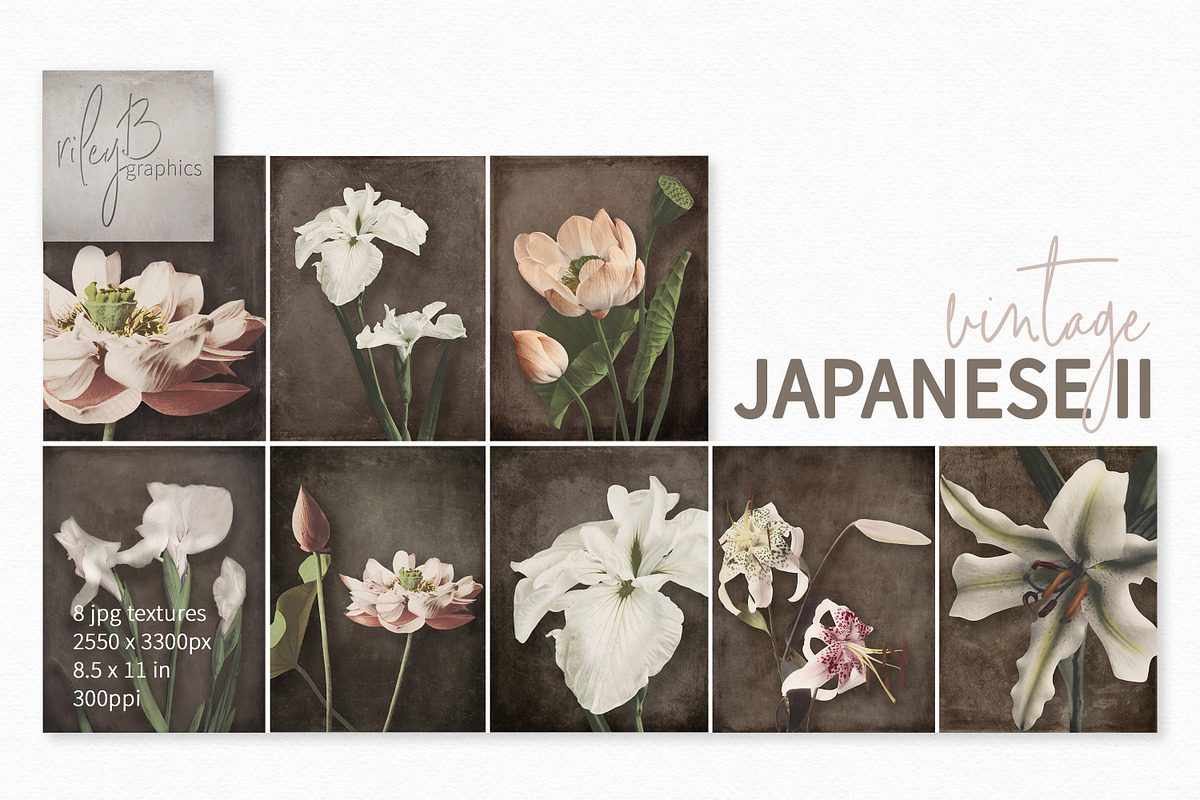 Vintage Japanese II, a Decorative Illustration by rileyBgraphics (Photo 1 of 7)