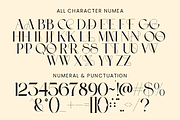 Numea - All Caps Elegant Font, a Serif Font by Pandeka Studio (Thumbnail 8 of 10)