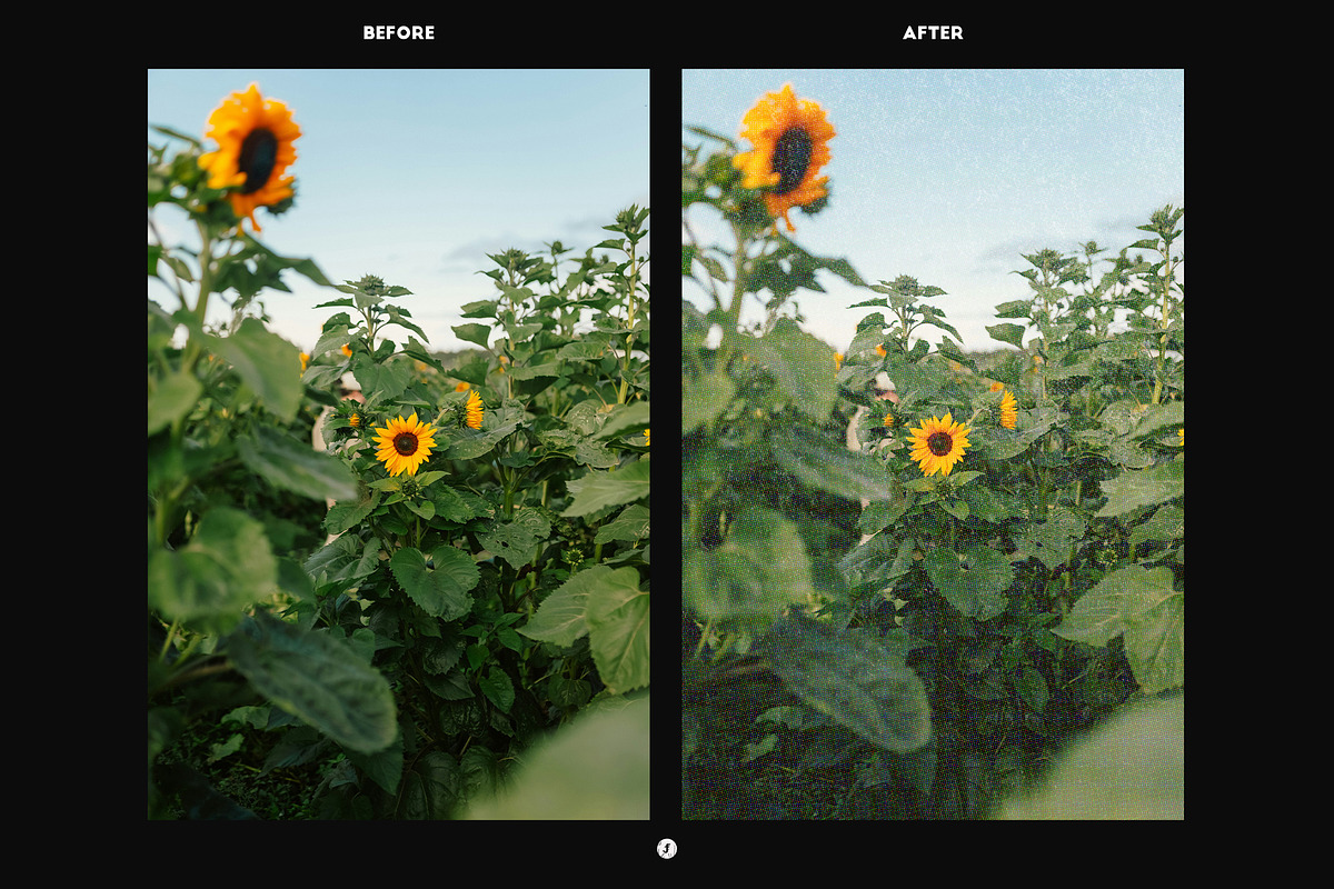 Halftone Textures | Classic, Gritty, a Texture Graphic by Freezerondigital (Photo 3 of 10)