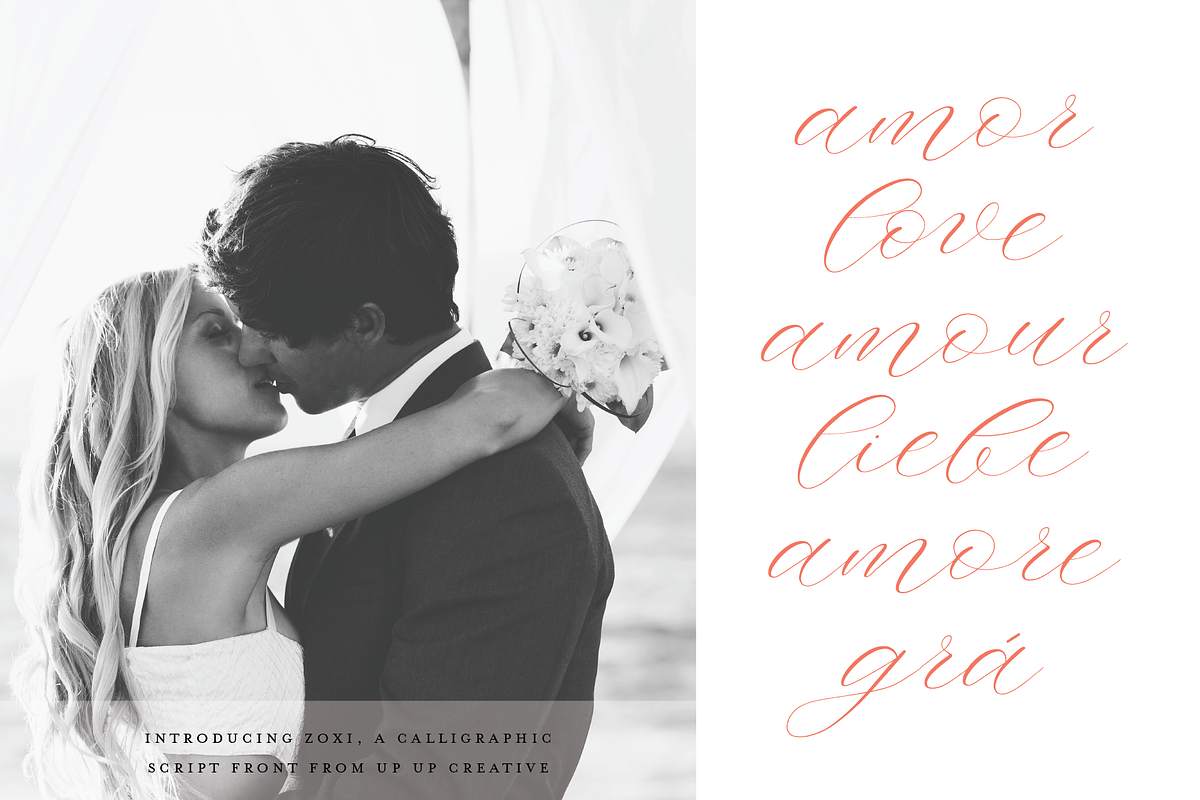 Zoxi, a Calligraphy Script Font, a Script Font by Up Up Creative (Photo 6 of 8)
