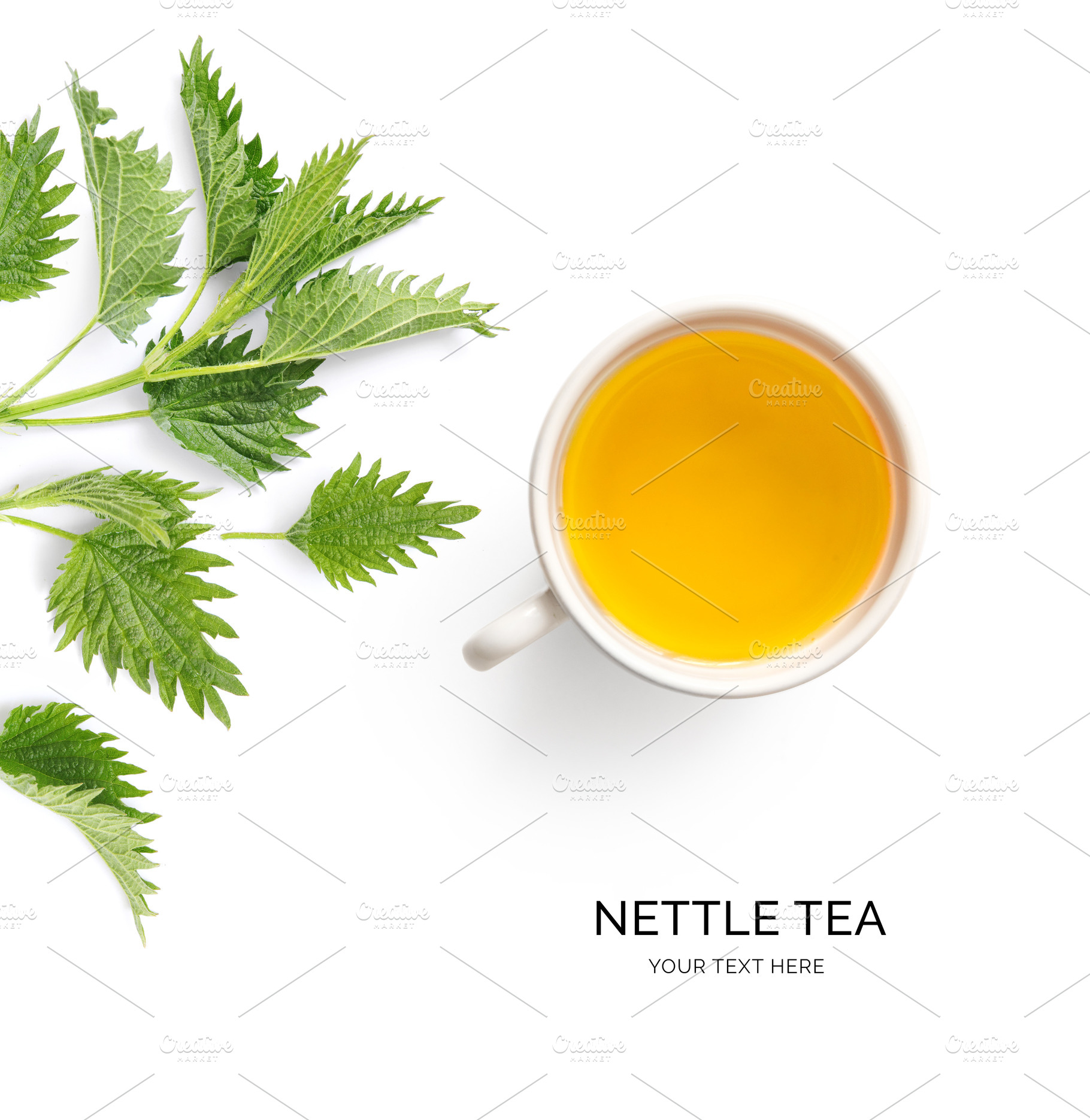 Nettle tea stock photo containing alternative and aromatherapy, a Food & Drink Photo by StudioPhoto