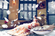5K Feathers Overlays, an Object Graphic by ArtPlanet (Thumbnail 1 of 7)