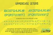 Pandora Callister Font, a Font by LeoSupply.co (Thumbnail 3 of 10)