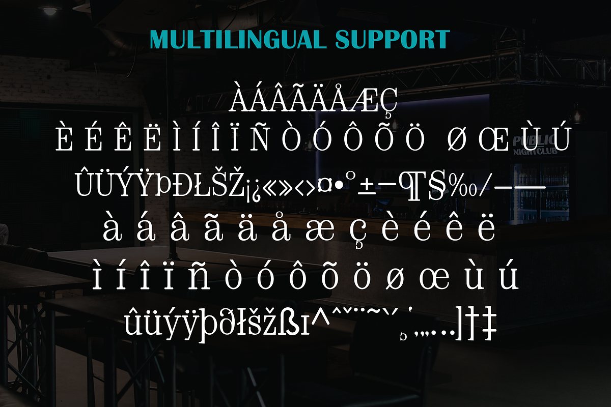 Gorogoro-Serif font, a Serif Font by portype (Photo 3 of 5)