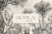 Tropical black& white plants, a Decorative Illustration by Jeanna Draw (Thumbnail 1 of 19)