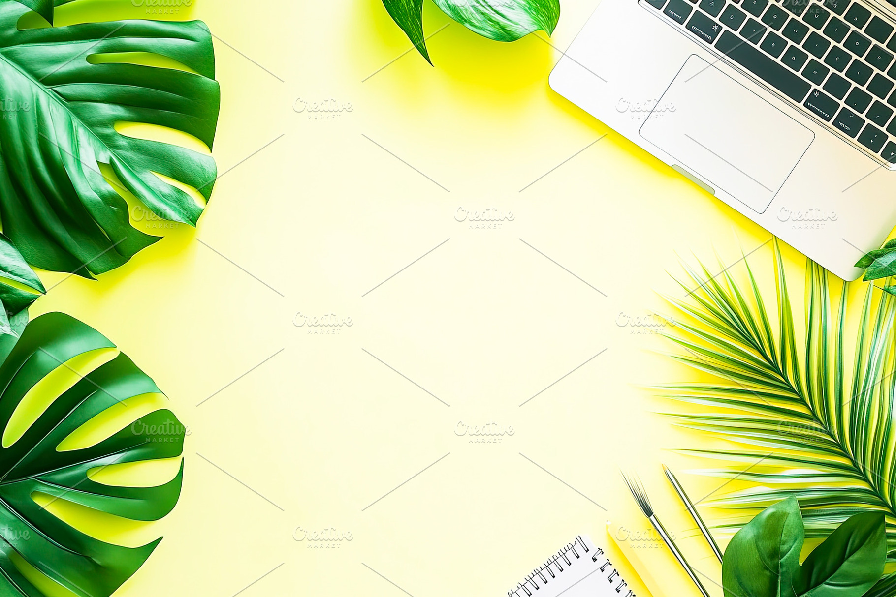 Workspace with Greenery, a Business Photo by Ales Munt