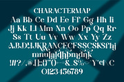 Afalen || Elegant Classy Serif Font, a Serif Font by Ermedia Studio (Thumbnail 10 of 10)