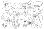 MUSHROOMS. Vector Set for your work., a Food Illustration by palllna (Thumbnail 5 of 5)