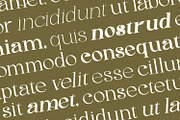 Gineby - Serif Typeface Font, a Serif Font by Rishsketch (Thumbnail 8 of 16)