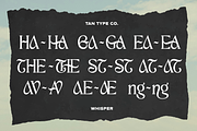 TAN - WHISPER, a Serif Font by TanType (Thumbnail 10 of 10)