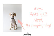 Pale Pink & Soft Beige Photo Pack, a Social Media Template by Jumping Dog (Thumbnail 6 of 6)