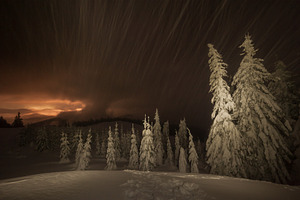 Night winter landscape with forest containing winter, night, and forest