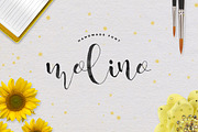 Molino Script, a Script Font by dimindie (Thumbnail 1 of 3)