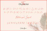 Chelsea Queen || Elegant Signature, a Script Font by D&K Project (Thumbnail 4 of 18)