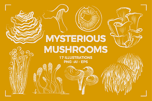 MYSTERIOUS MUSHROOMS 17 ELEMENTS