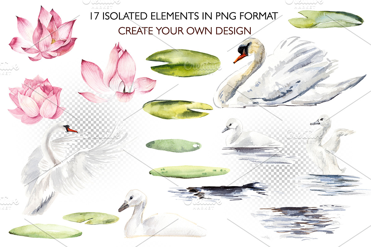 Watercolor swans, an Animal Illustration by Budogoshch (Photo 2 of 8)