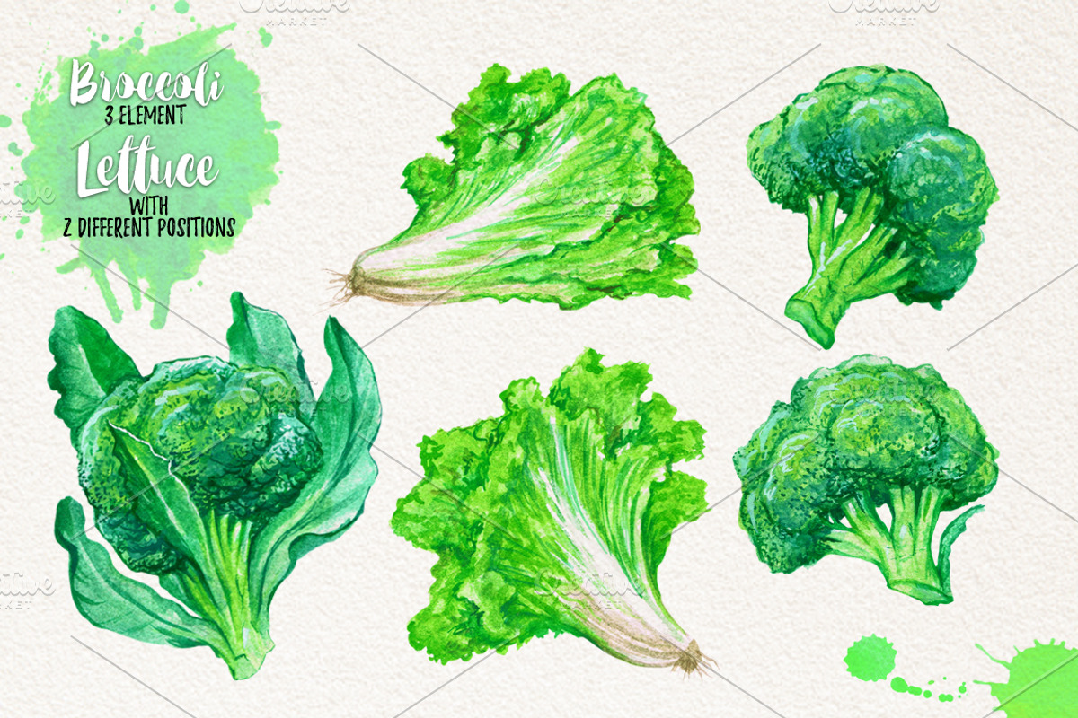Watercolor Vegetables, Herbs, Green, an Animal Illustration by Graphobia (Photo 2 of 11)