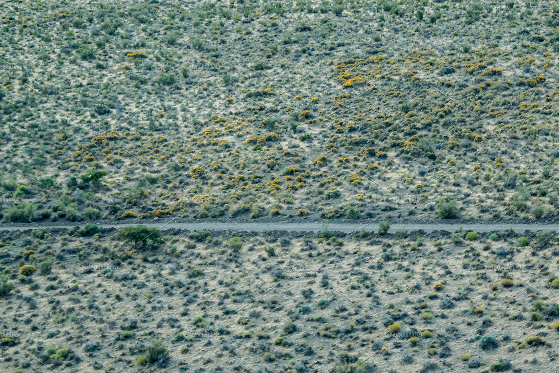 Dirt road crossing patagonia landscape, chubut province, argenti, a Nature Photo by DanFLCreativo