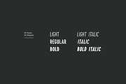 FREIGEL - Unique Display Font Family, a Sans Serif Font by Designova® (Thumbnail 10 of 10)