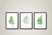 Floral Watercolor Bundle, an Object Graphic by JSolomatina (Thumbnail 13 of 23)
