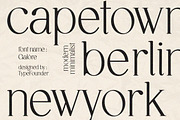 Galore - Elegant Modern Serif, a Serif Font by TypeFounder (Thumbnail 5 of 12)