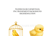 27 Bird Clipart, an Animal Illustration by Pati Charm Studio (Thumbnail 4 of 8)