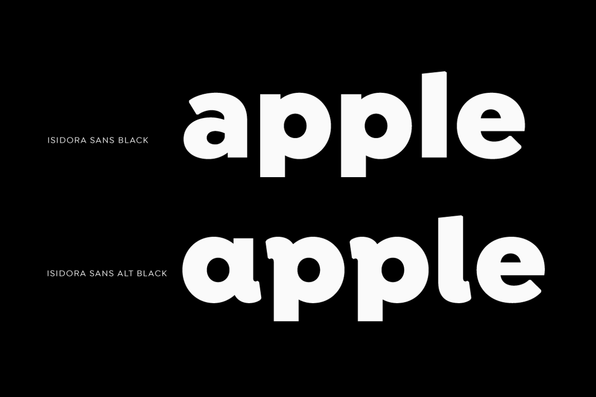 Isidora Sans, a Sans Serif Font by Latinotype (Photo 10 of 12)