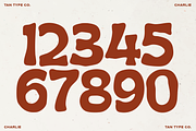 TAN - CHARLIE, a Handwritten Font by TanType (Thumbnail 12 of 14)