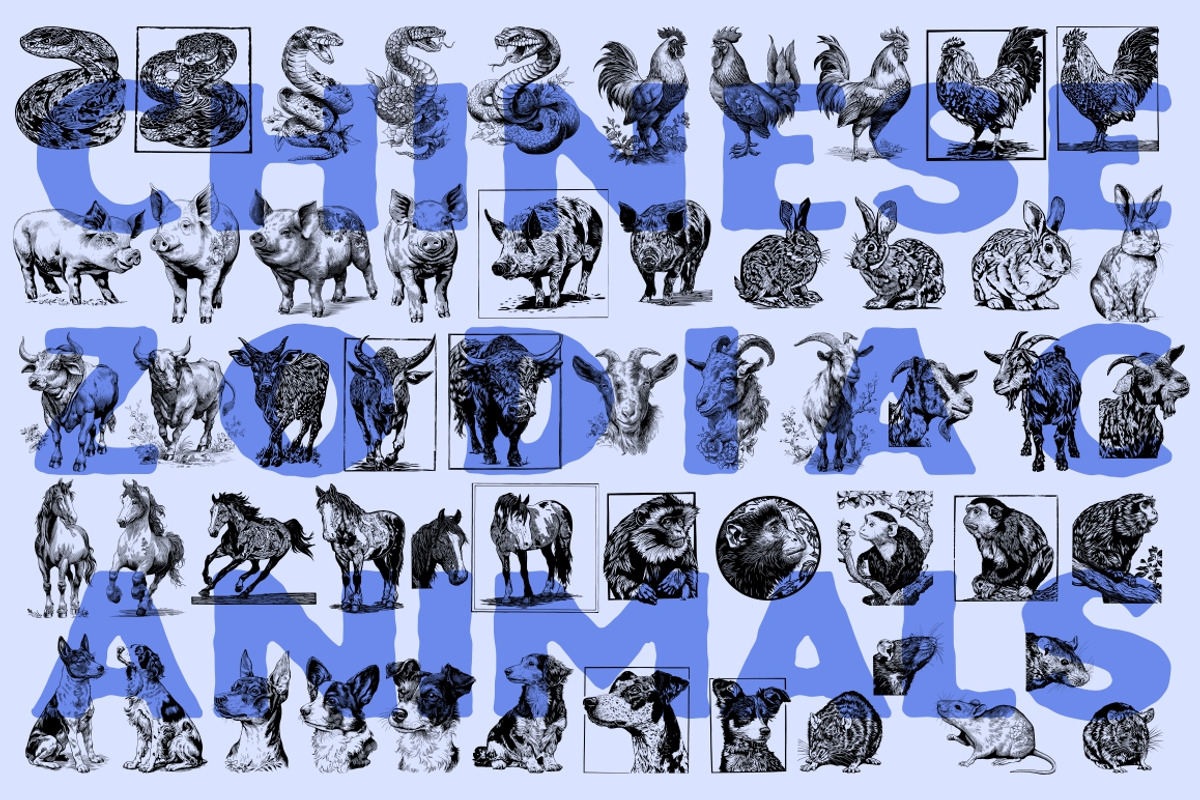 Chinese Culture vector illustrations, an Object Illustration by Nocturnal Wolf (Photo 6 of 19)