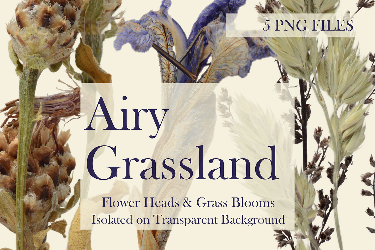Airy Grassland — Flower Heads & Gras, an Object Graphic by Aga Silva (Photo 2 of 5)