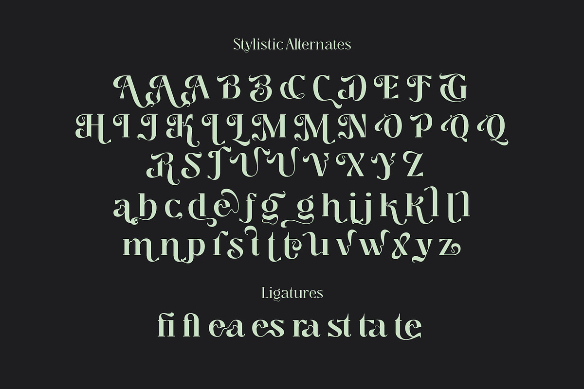 Segina - Decorative Serif, a Serif Font by creativemedialab (Photo 10 of 12)