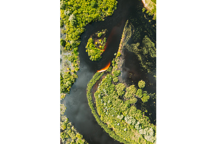 Aerial view. Green forest and river, a Nature Photo by Our Amazing World