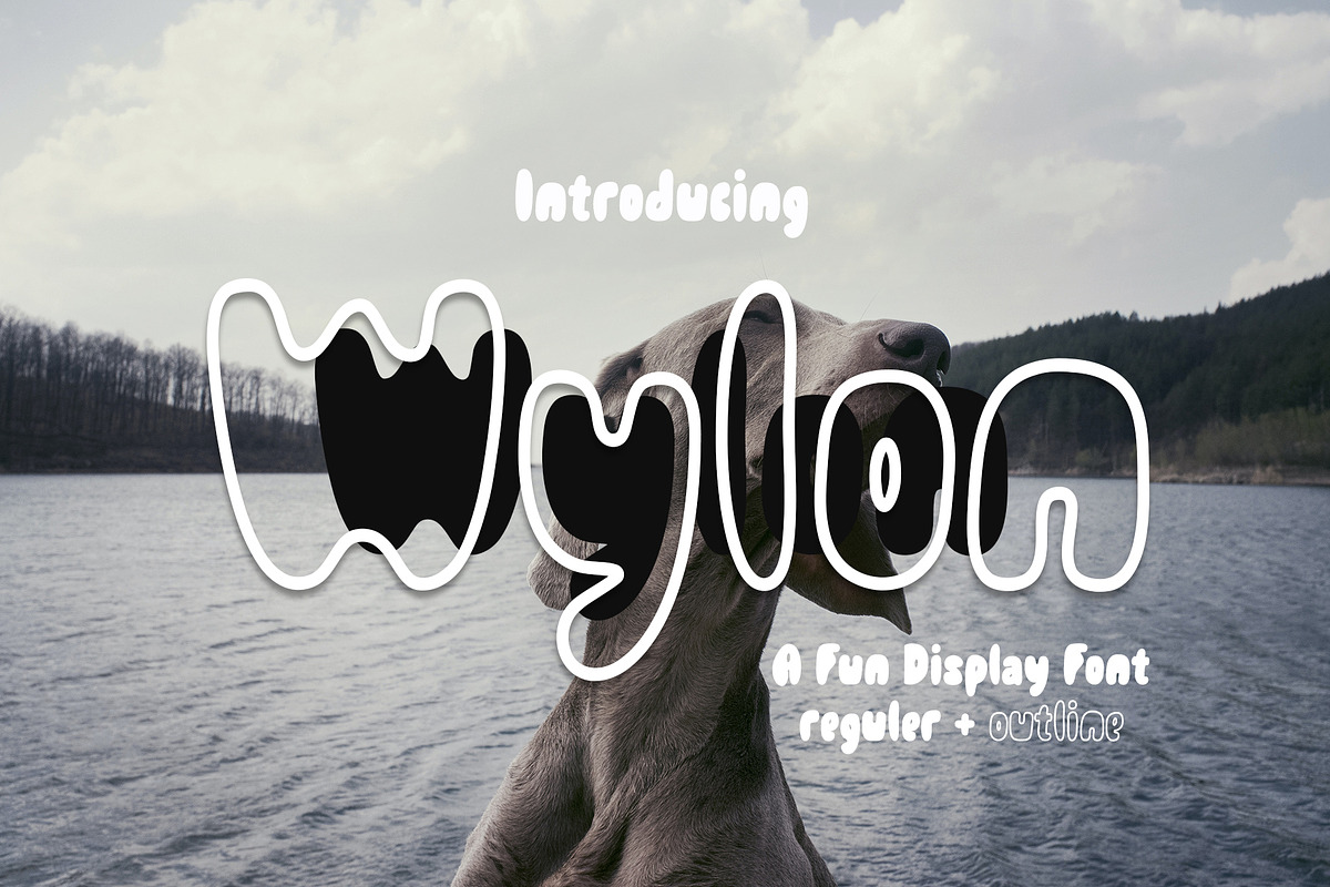 Wylon A Fun Display Font, a Handwritten Font by Tera Asset Garage (Photo 1 of 9)