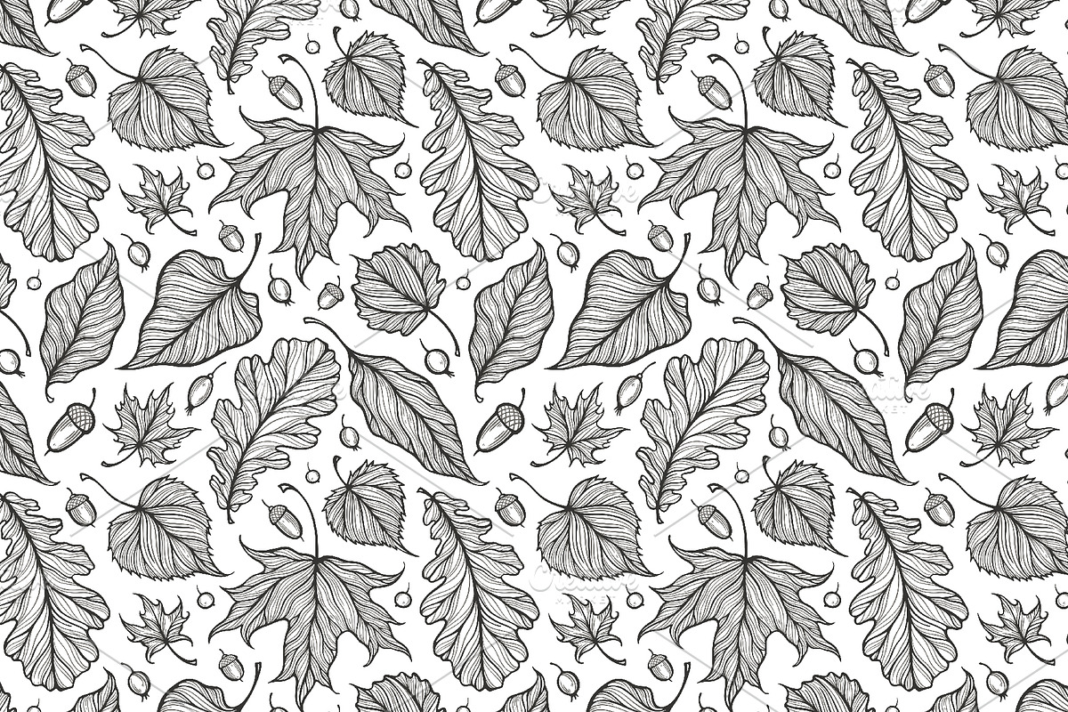Decorative leaves collection, a Decorative Illustration by IreneArt illustrations (Photo 4 of 7)