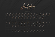 The Versatile Font Bundle, a Sans Serif Font by AlienValley (Thumbnail 53 of 141)