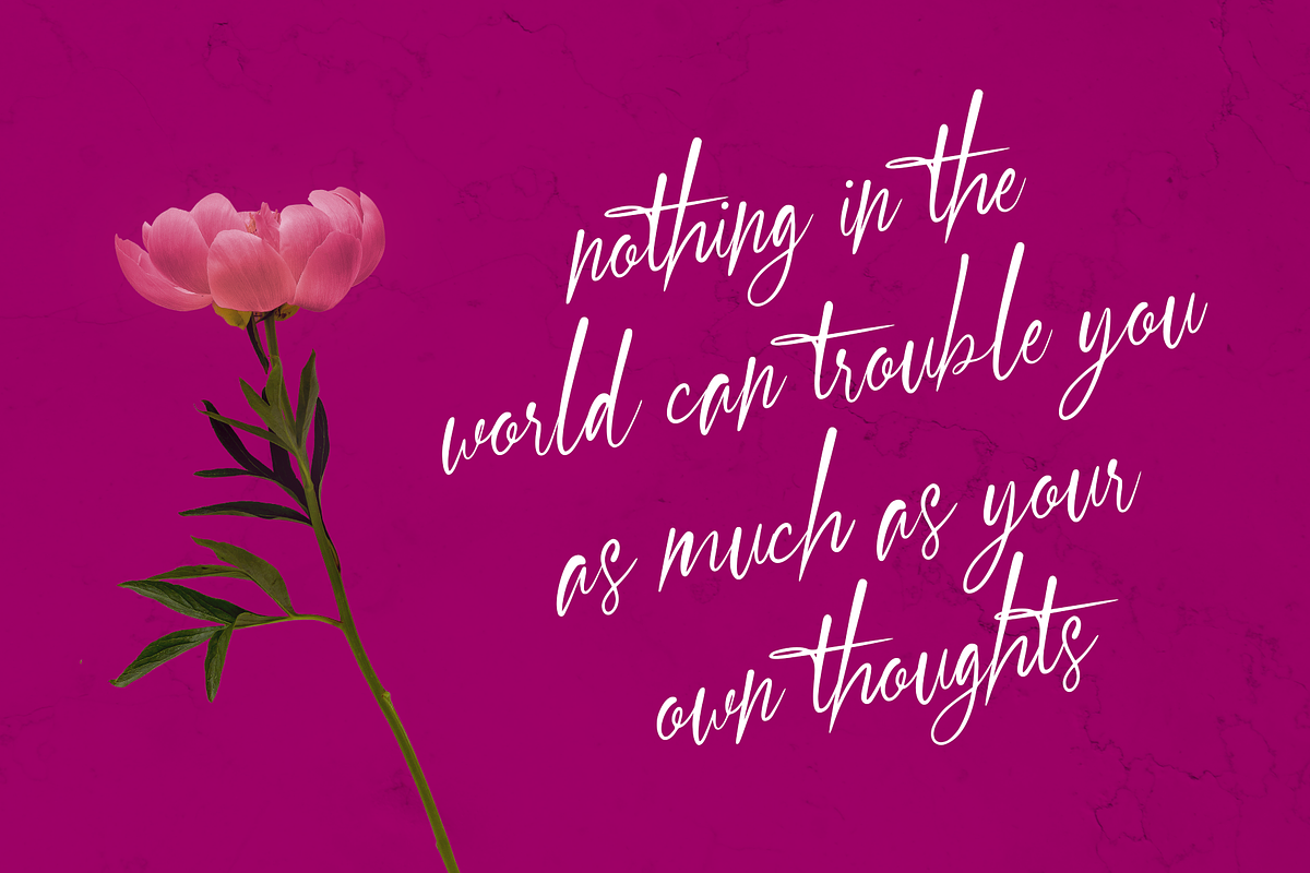Signastory, a Script Font by SusiType (Photo 3 of 8)