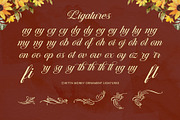 Chetta Money Typeface, a Script Font by alit design (Thumbnail 15 of 17)