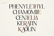 Magnola - Elegant Modern Serif, a Serif Font by Font Liner (Thumbnail 4 of 11)